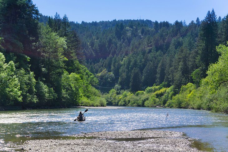 Kayaking on the Russian River