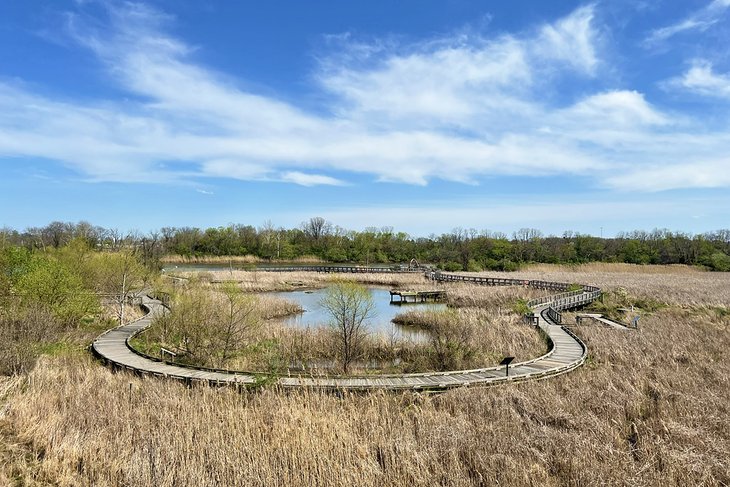 Boardwalk at the Russell W. Peterson Urban Wildlife Refuge