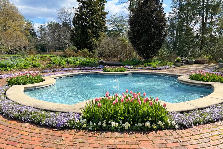 Flowers blooming at the Mount Cuba Center