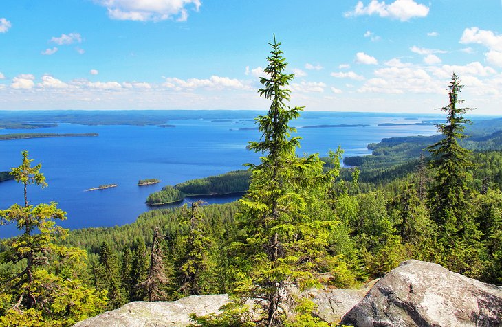 Ukko-Koli viewpoint in Koli National Park