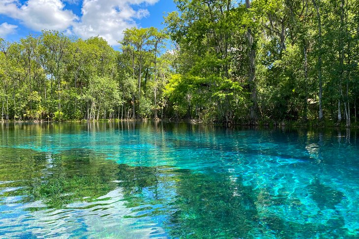 Springs of Silver River, Silver Springs State Park