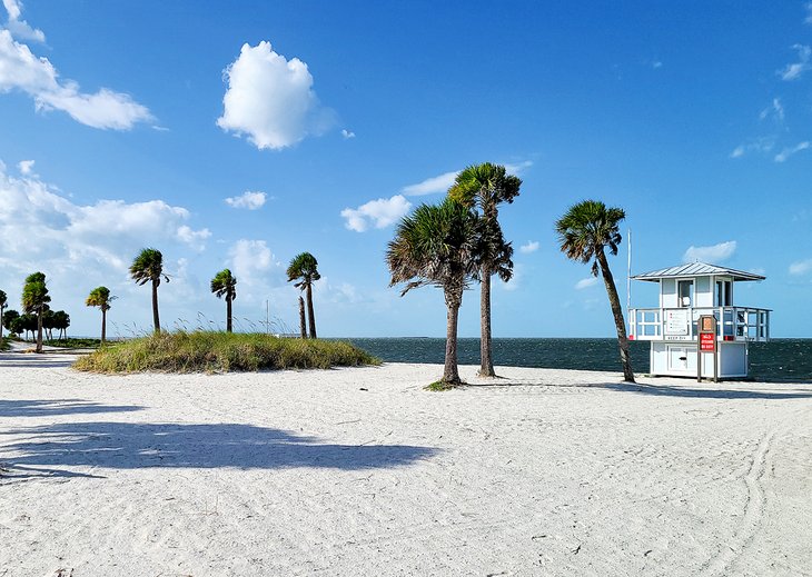 Las 7 mejores playas cerca de Dunedin, Florida