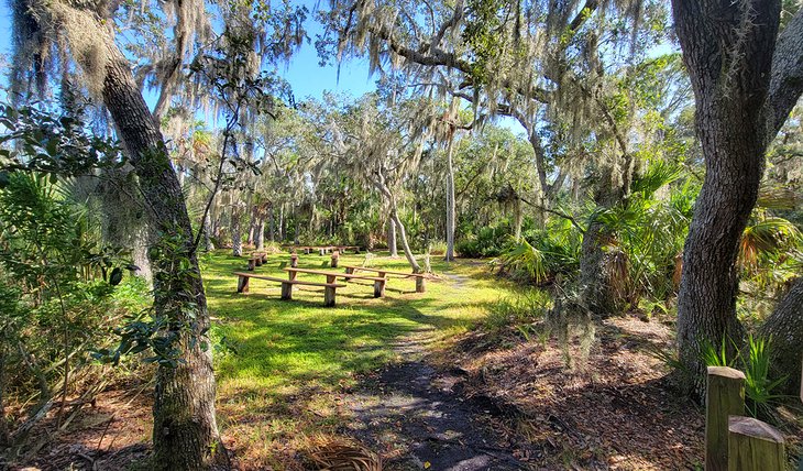 Hammock Park