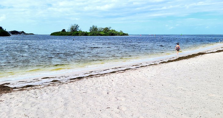 The beach at Anclote River Park