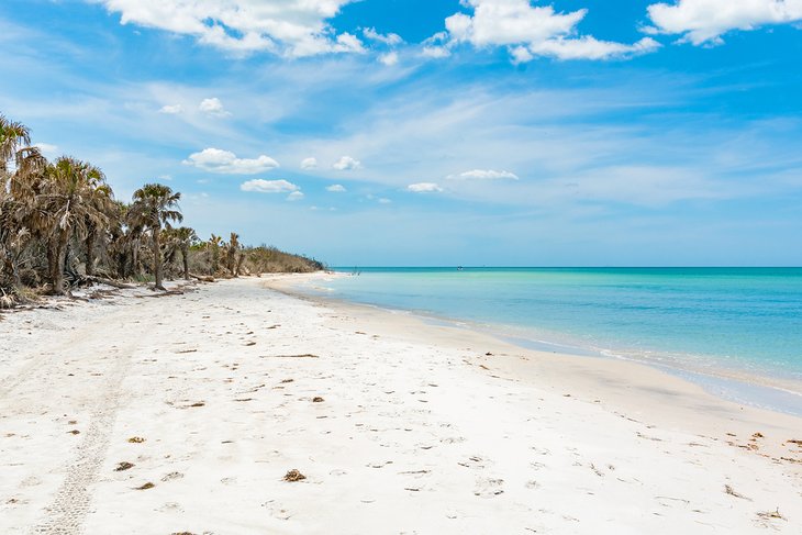 Las 6 mejores playas de Tarpon Springs, Florida