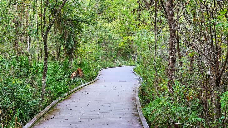 Brooker Creek Preserve