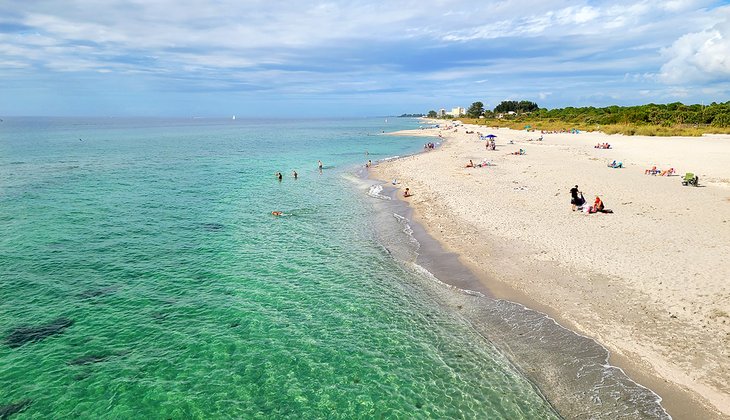 Las 8 mejores playas de Venecia, Florida