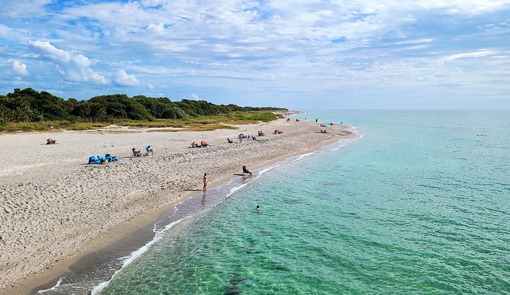 Las 8 mejores playas de Venecia, Florida