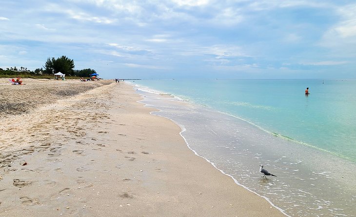 Las 8 mejores playas de Venecia, Florida
