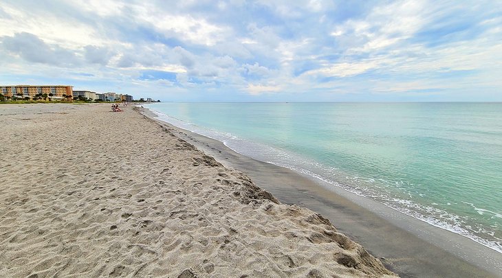 Las 8 mejores playas de Venecia, Florida