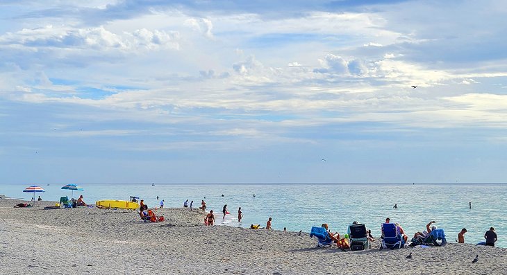 Las 8 mejores playas de Venecia, Florida