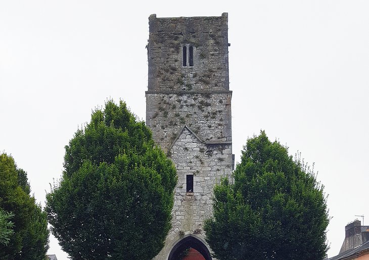 Red Abbey in Cork