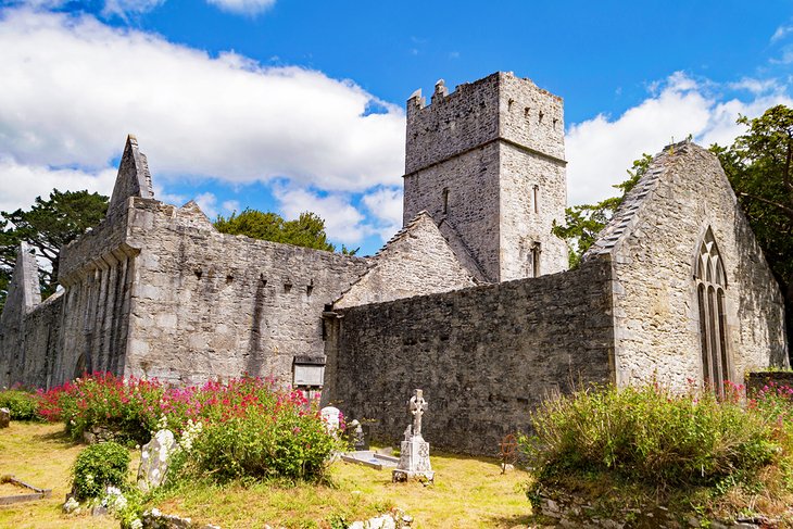 Muckross Abbey