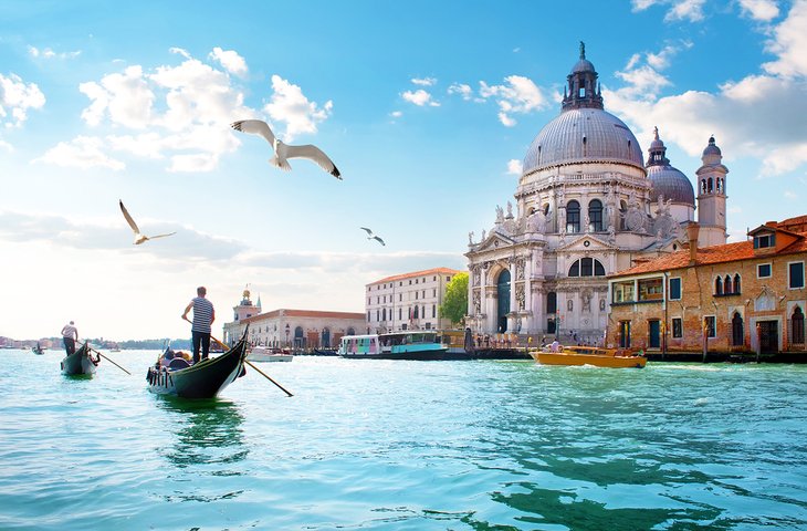 Seagulls over the Grand Canal in Venice