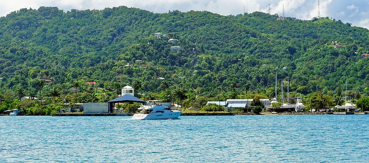 Coastline in Port Antonio