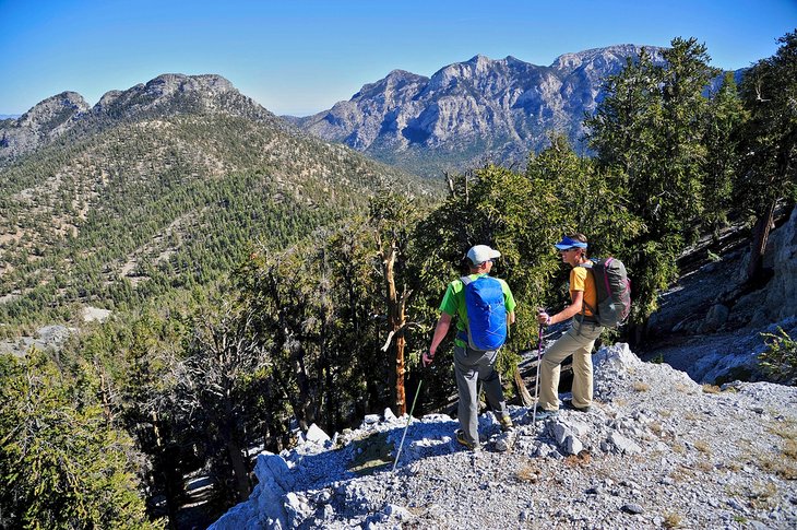 Hikers in the Mount Charleston Wilderness
