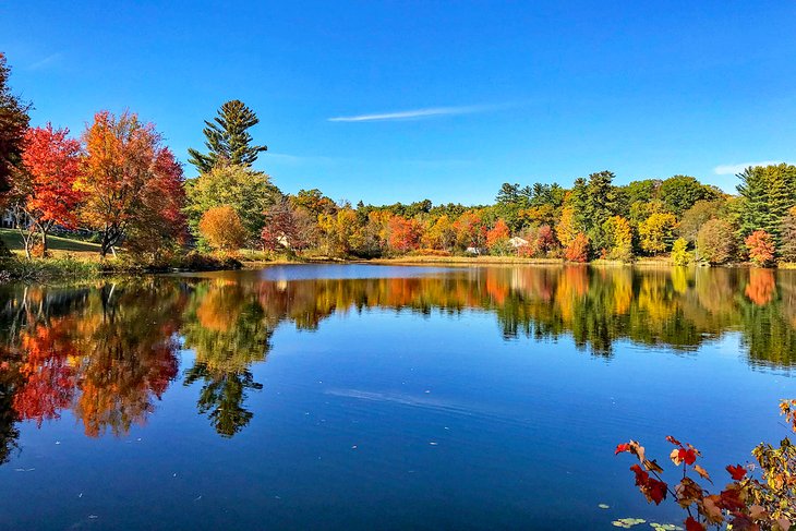 Lake Wentworth