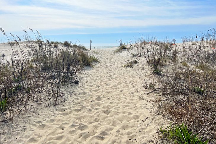 Path through the dunes at Corson's Inlet State Park