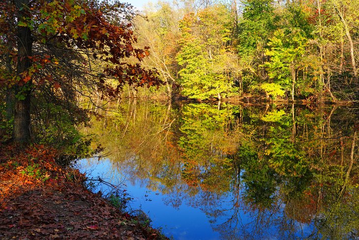 Fall colors in the Delaware and Raritan Canal State Park