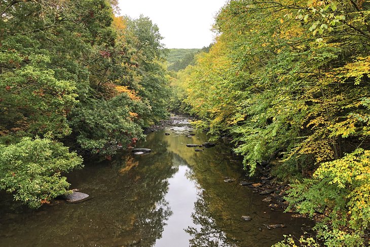 View from the Henry David Thoreau suspension bridge