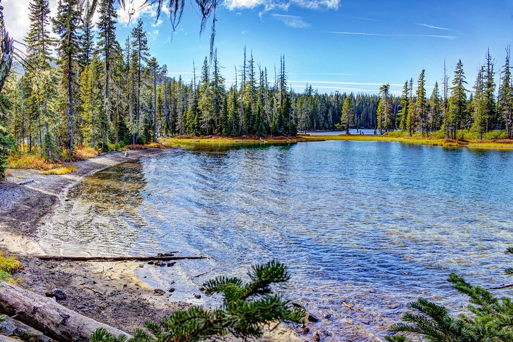 Waldo Lake in the Willamette National Forest