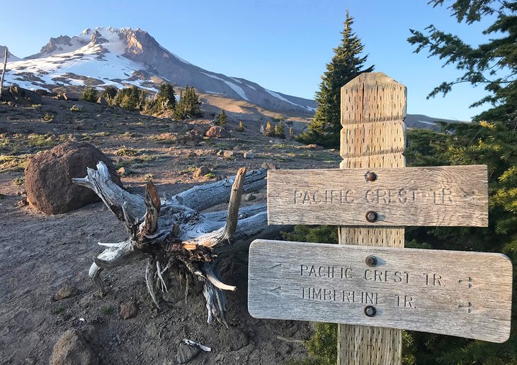 Pacific Crest Trail sign with Mt. Hood in the background