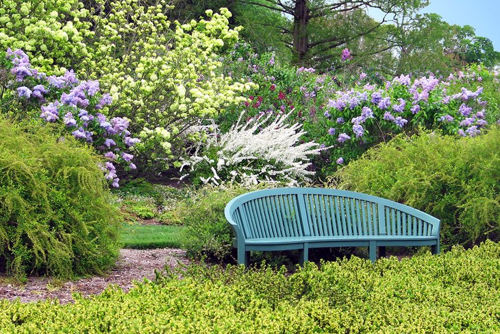 Bench in the garden at Winterthur