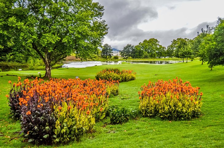 Blooming flowers along the Midlands Meander