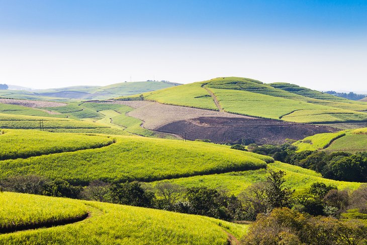 Valley of a Thousand Hills