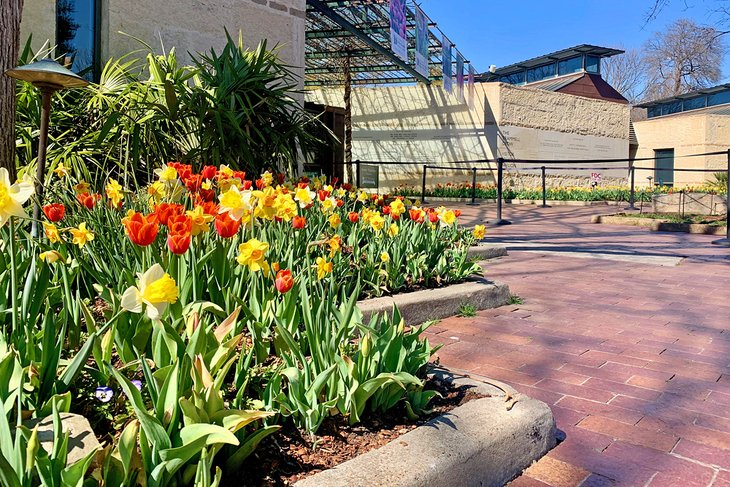 The Dallas Arboretum and Botanical Garden