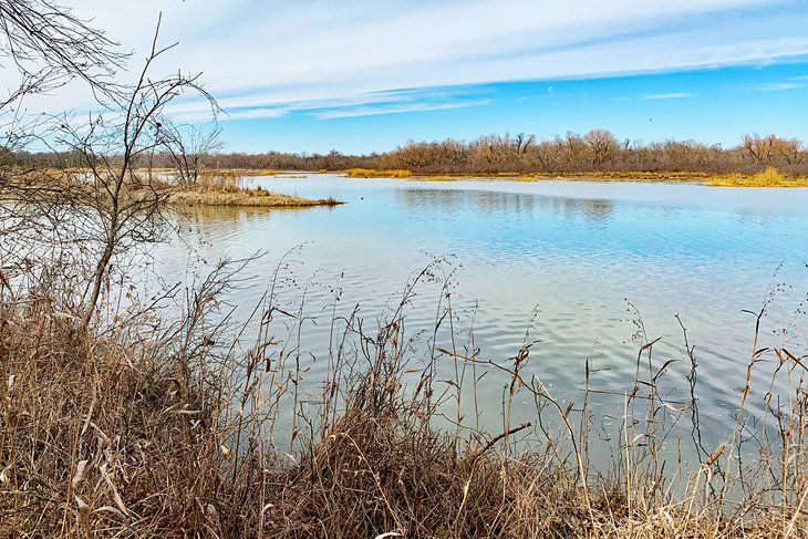 Fort Worth Nature Center and Refuge