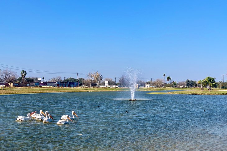 Town Lake in Fireman's Park