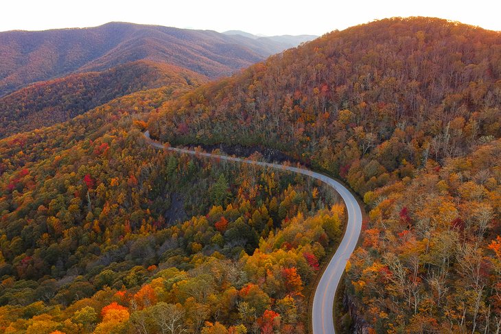 Fall colors along the Blue Ridge Parkway near Asheville