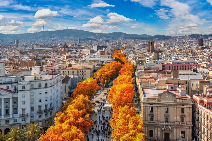 Autumn foliage along La Rambla street in Barcelona