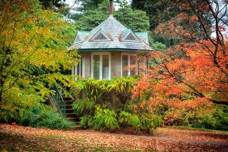 Autumn in Clyne Gardens, Swansea