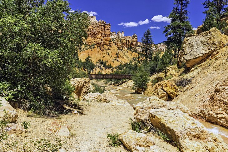 Sheep Creek Bridge in Bryce Canyon