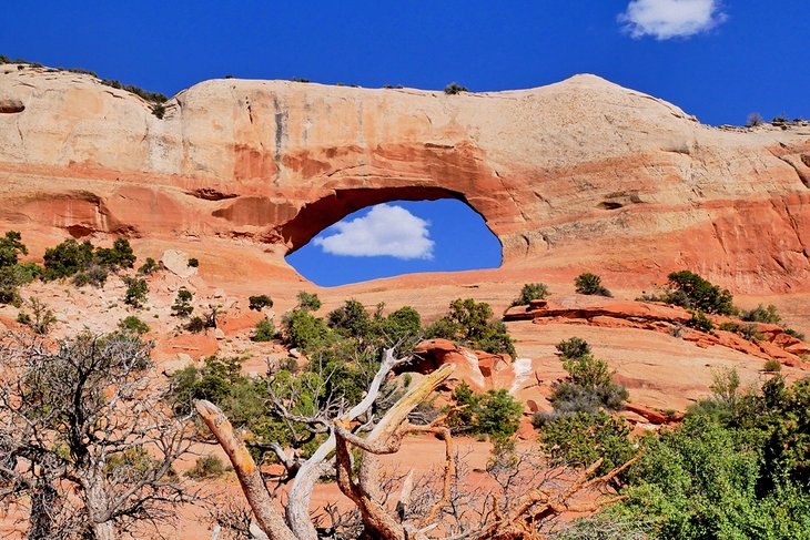 Wilson Arch