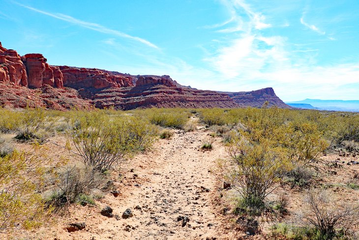 Johnson Canyon trail