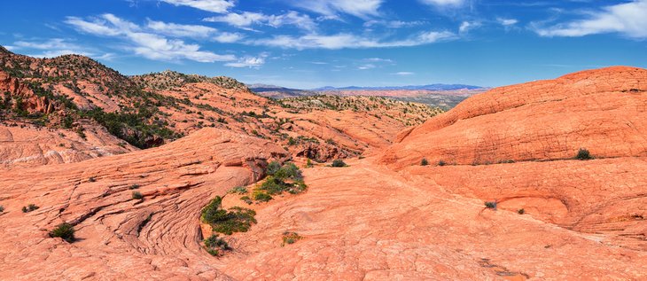 Views from the Lower Sand Cove trail to the Vortex formation in the Red Cliffs National Conservation Area