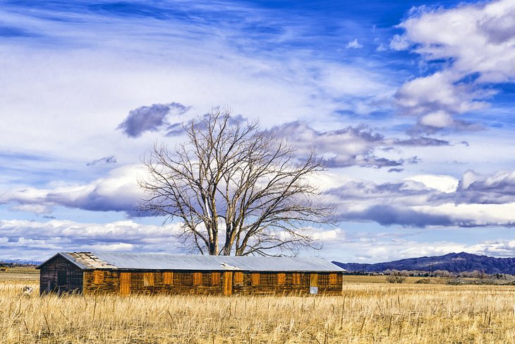 Heart Mountain Internment Camp