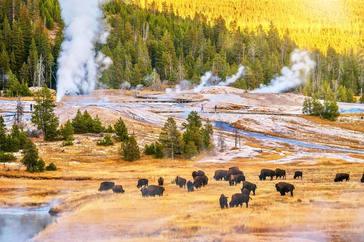 Sunset at Yellowstone