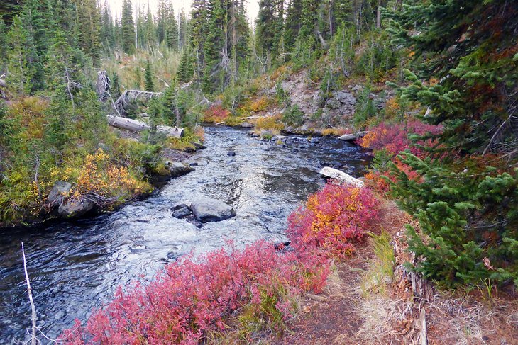 Bechler River Trail