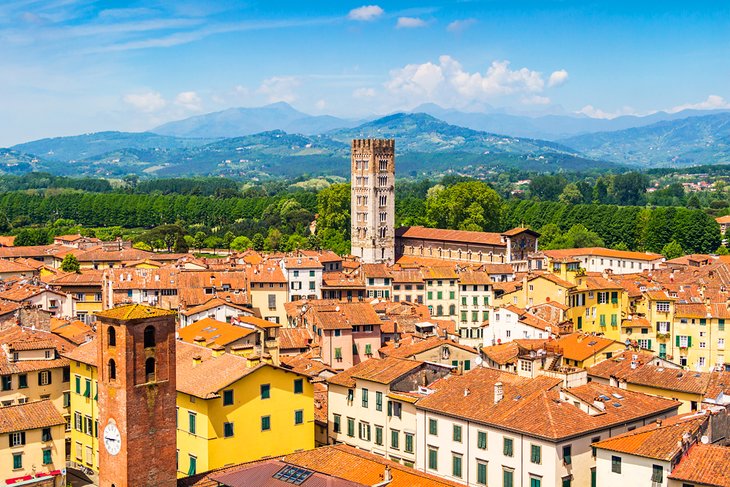View over terra-cotta roofs in Lucca