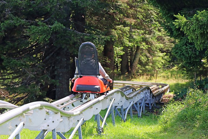 Mountain roller coaster