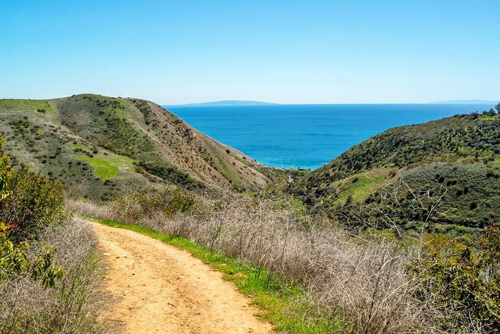 Solstice Canyon Trail in Malibu