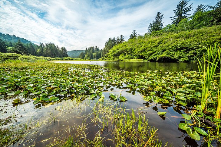 Yurok Loop Trail