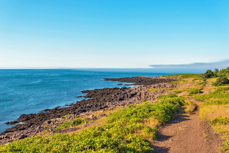 Brier Island Coastal Trail