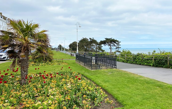 Lower Leas Coastal Park