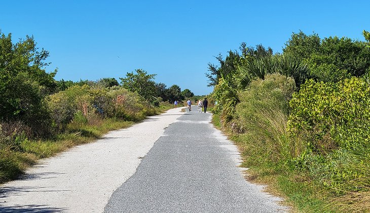 A path in Robinson Preserve