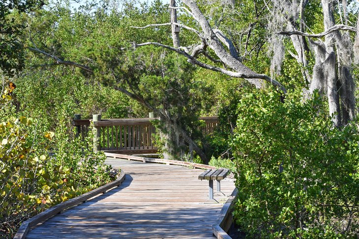 Wooden walkway through the Neal Preserve in Bradenton, FL